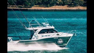 KITTED CAT – Sailfish 3200 Platinum Sports [upl. by Kazmirci]