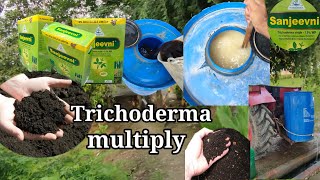 Trichoderma multiply  trichoderma bio fungicide [upl. by Htennek]