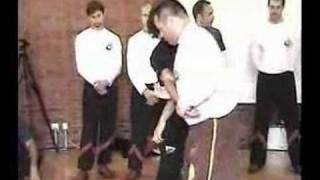 wing tsun e wEng chun 1 [upl. by Rucker454]