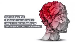 Tau pathology exacerbates TBI injury progression [upl. by Aikemat]