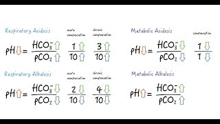 Easy rules for assessing metabolic compensation [upl. by Mellisa]