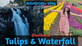 ഞങ്ങൾ Tulips കാണാൻ പോയപ്പോൾ  ഒരു അടിപൊളി dayoutsoorajsharonvlogsaustralia couple dayout [upl. by Eimrej]