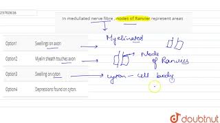 In medullated nerve fibre  nodes of Ranvier represent areas [upl. by Ardnoel]