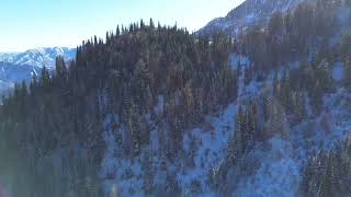 Bobs Knob  Aspen Grove Coverage Provo area mountains Nov 28 2023 [upl. by Ynnol70]