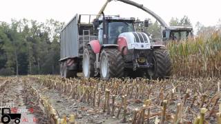 Maisfilm 2014  Raubtierfütterung auf dem Maisfeld  Claas Jaguar 900 bei der Maissilage 2014 [upl. by Jezrdna]