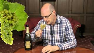 Chandon Brut Sparkling Wine Argentina  wine review [upl. by Drwde]