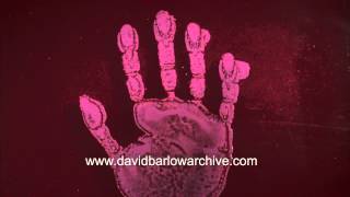 Bacterial growth from a handprint [upl. by Eihcir792]