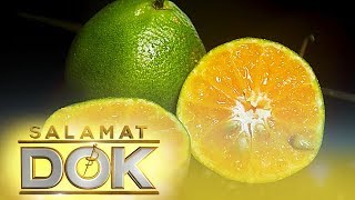 Salamat Dok The health benefits of dalandan calamansi and pomelo [upl. by Alfred]