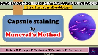 Negative Capsule Staining by Maneval Method  BSc FY Microbiology SRTMUN EnglishMarathi [upl. by Ron]