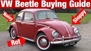 How To Buy A Classic VW Beetle  Everything You Need To Know [upl. by Akel805]