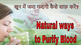 how to purify blood naturally at home  Natural ways to purify blood [upl. by Jamill611]