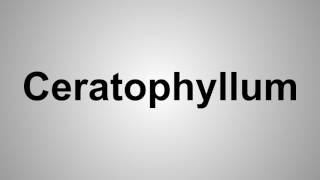 How To Pronounce Ceratophyllum [upl. by Surbeck]