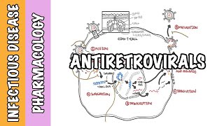 Pharmacology  HIV antiretroviral drugs classes mechanism of action and side effects [upl. by Anirual]