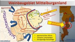 Das Weinbaugebiet Mittelburgenland [upl. by Loesceke436]