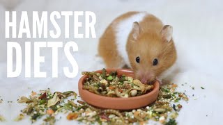 What To Feed Your Hamster  Hamster diets [upl. by Eca]