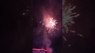 Damodar City Labasa Fireworks 2024 [upl. by Oirifrop722]