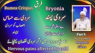 Rumex crispus vs bryonia  nervous pains affected by cold Nux vomica Mag phos Silicea [upl. by Hunt624]