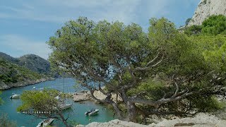 MEDITERRANEO – Les Calanques de Marseille entre mer cristalline et paysages grandioses [upl. by Lallage710]