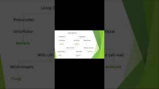 Classification of living organisms shortvideo biology science [upl. by Adaj]