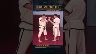 MUAI Tech Application File 013 Berlin 1999 Pahuyuth Muai Martialarts [upl. by Sension]