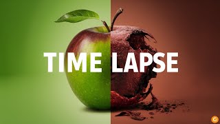 how Fruit Grow from Seed to Harvest in TimeLapse 4k time lapse [upl. by Charles664]