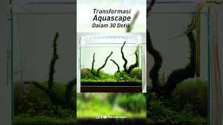 Transformasi Aquascape dalam 30 detik aquascape fishtank fish [upl. by Christian]