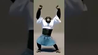 Cute Monkey 🐒 beautiful dance funny comedy 3603 [upl. by Yelahc918]