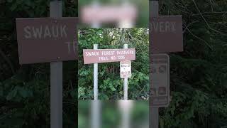 Blewett Pass washington hiking [upl. by Rebeh]