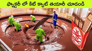 kitkat chocolate making in factory  fish oil making in factory  facts in telugu  bmc facts [upl. by Tracay181]