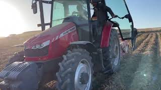 Baştan Sona Patates 🥔 Sökümü ve Yüklemesi Fiat 640 amp Massey Ferguson [upl. by Donnenfeld352]