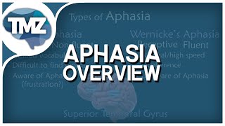 APHASIA OVERVIEW  Types of Aphasia Brocas Wernickes Amnestic Conductive and Mixed [upl. by Colvin889]