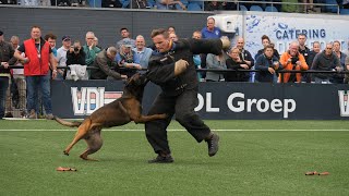 Nederlandse Kampioenschappen KNPV 2021 Schotstellen 04  09 [upl. by Mariska530]