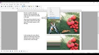 Extract Image from PDF with Foxit Advanced PDF Editor [upl. by Valorie]