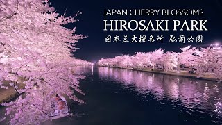 弘前公園 日本一の絶景桜名所 8K Beautiful Cherry Blossoms in Hirosaki Park Japan  東北の風景 弘前城の夜桜 Sakura Landscape [upl. by Aneleairam]