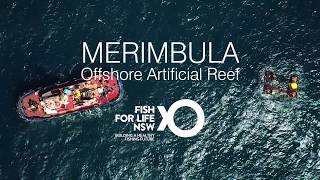 Merimbula Bay Offshore Artificial Reef [upl. by Ahsinev861]