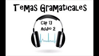 Temas Gramaticales Cap 13 Audio 2 [upl. by Anaib81]