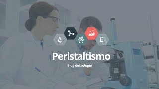 Peristaltismo [upl. by Denoting]