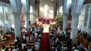 Nelson Cathedral NZ Christmas Tree Festival Light Up Service 24th November 2023 [upl. by Nnawaj]