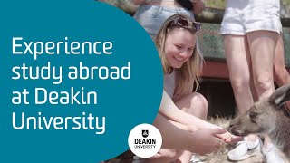 Experience study abroad at Deakin University [upl. by Ahsiyt]