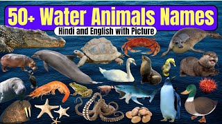 20 Animals Name Hindi and english  जानवरों के नाम  Animals name [upl. by Ylrehc]