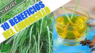 10 BENEFICIOS Del LIMONCILLO o Caña Santa y COMO PREPARAR el Té De esta planta [upl. by Arracot]