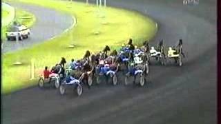 Prix de Bourgogne 1994 Vourasie [upl. by Sonahpets204]