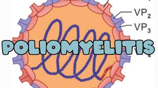 Poliomyelitis I pathogenesis  Lab diagnosis  vaccine [upl. by Eisdnyl830]