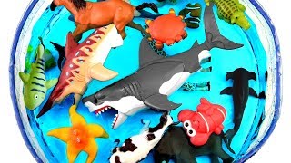 Learn Wild Zoo Animals names For Kids Safari Education Sea Animal [upl. by Eemla]