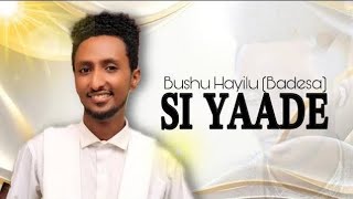 Bushu Hayilu Badesa Si Yaade New oromo music 2024 [upl. by Melvin12]