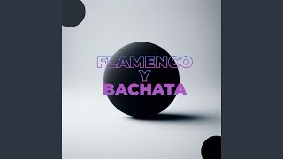 FLAMENCO Y BACHATA [upl. by Atsirtal]