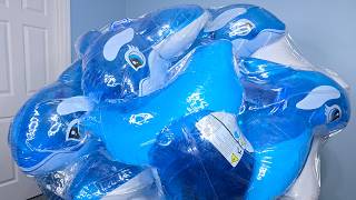 Eleven Inflatable Blue Whales Inside a Huge Beach Ball [upl. by Gilbart]