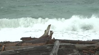 Power outages begin as winds pick up on Vancouver Island [upl. by Miuqaoj762]