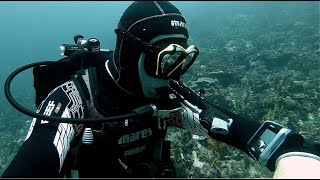 Scuba Diving Equipment Review Mares Genius Dive Computer [upl. by Rebme]