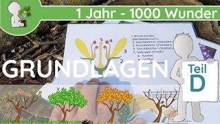 📚 1 Jahr  1000 Wunder  Grundlagen Teil D Aufbau der Blüte  BotanikGrundlagenWissen [upl. by Horn]